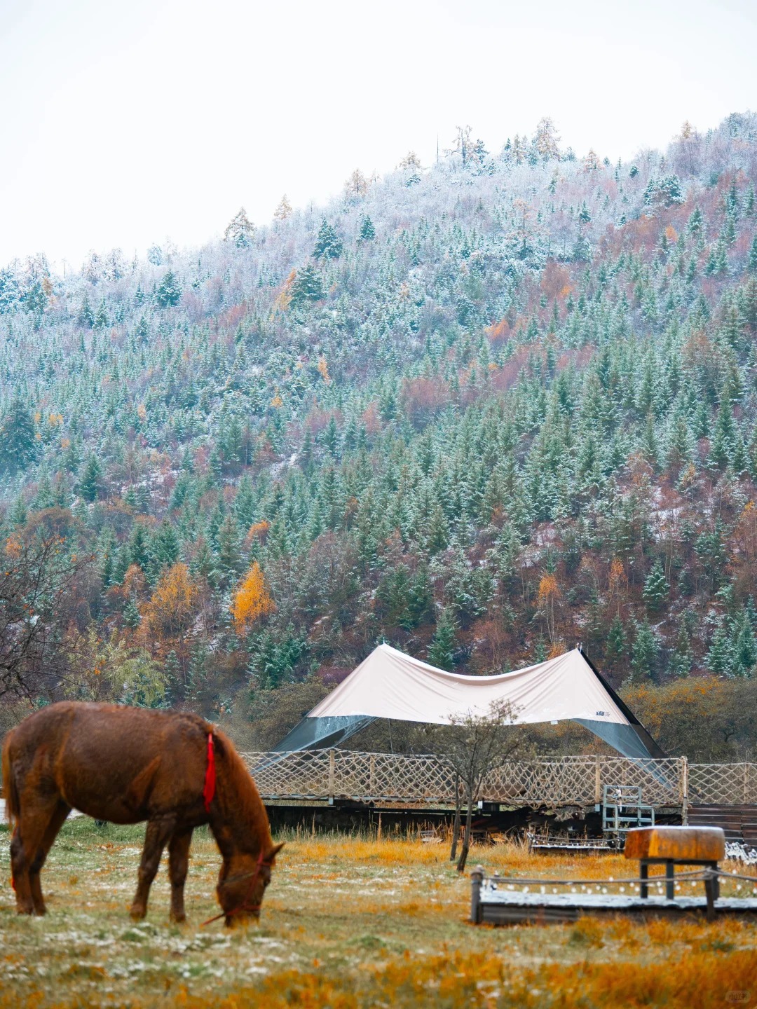 香格里拉11-12月天气及穿衣保姆级攻略_10_茸洽Glamping温泉帐篷酒店_云南-香格里拉-来自52tours 我爱旅游网